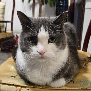 Meet your Posher, Sandra